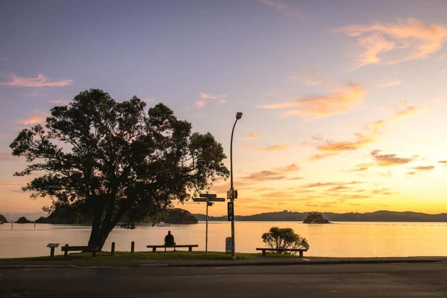 Auckland: 2-Day Bay of Islands Small Group Tour with Cruise - Key points to know before booking