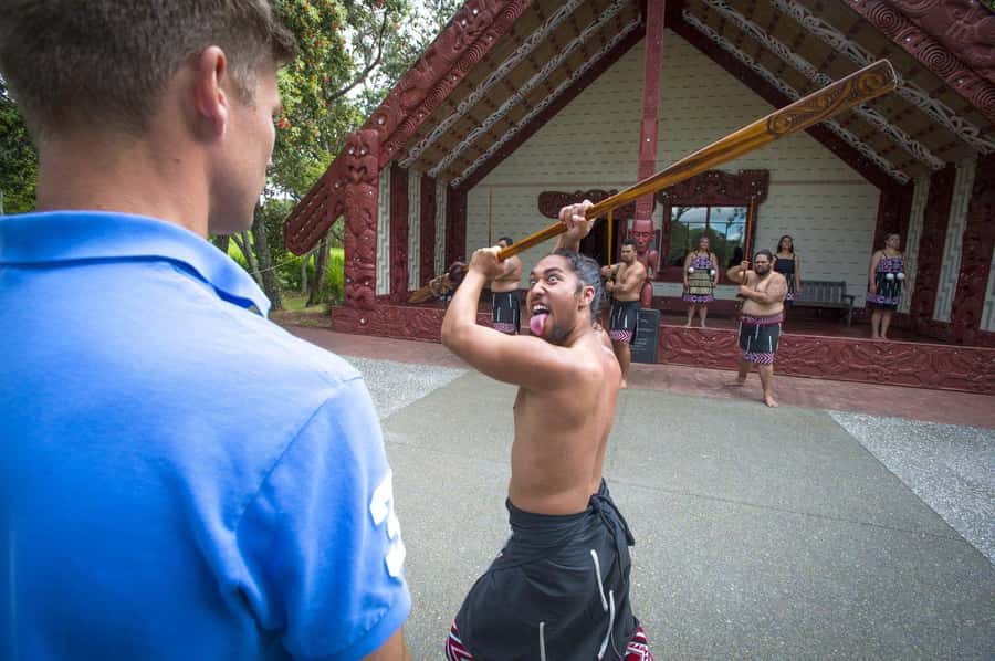 Auckland: 2-Day Bay of Islands Small Group Tour with Cruise - Who should book this experience?