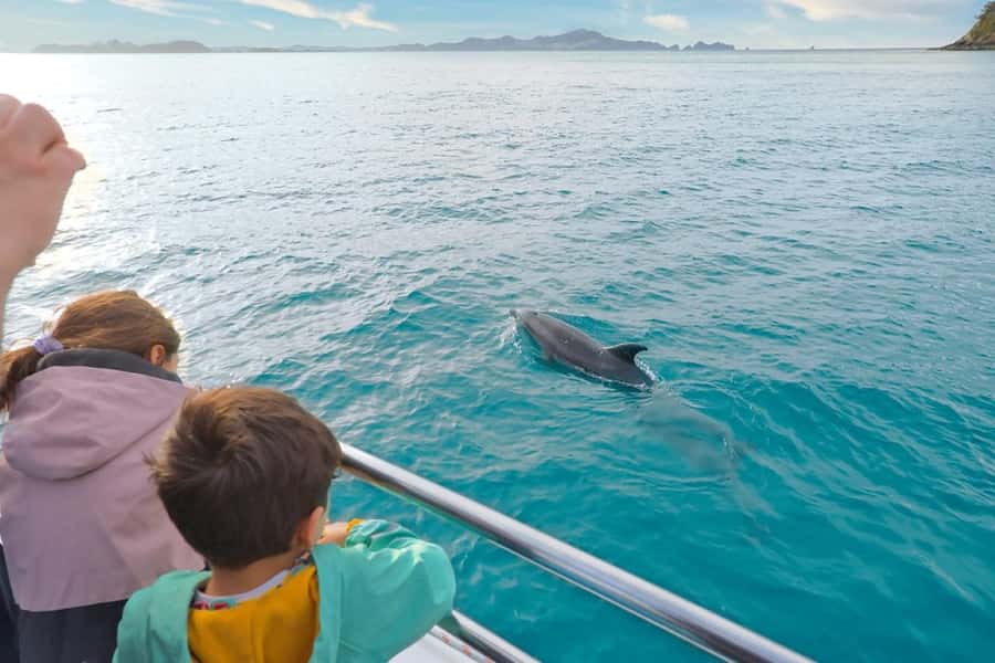 Auckland: 2-Day Bay of Islands Small Group Tour with Cruise - Practical details that affect your decision
