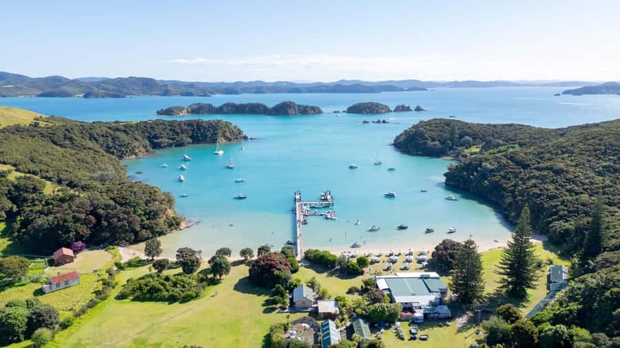 Auckland: 2-Day Bay of Islands Small Group Tour with Cruise - Day one: from Auckland to ancient kauri