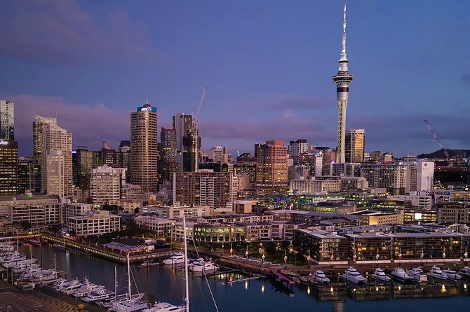 Auckland Airport Private One-Way or Round-Trip Transfer - Drivers who make the ride easier