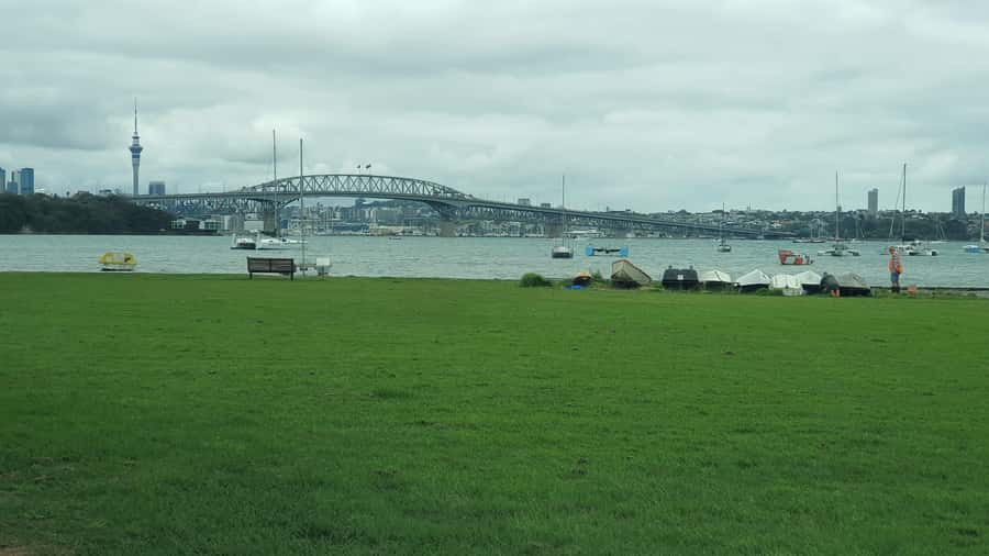 Auckland: Auckland City Tour 4 hours private - Key points to know before booking
