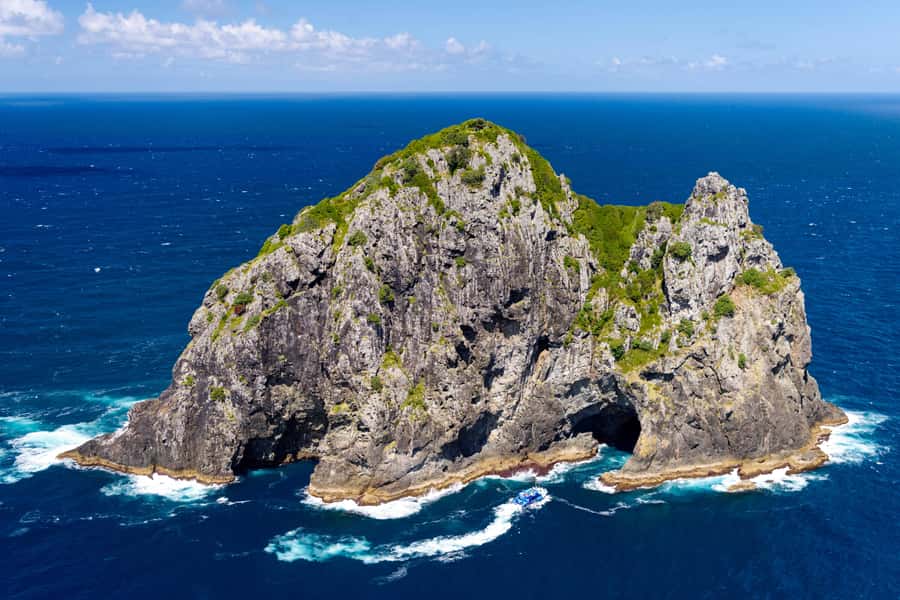 Auckland: Bay of Islands Day Tour with Dolphin Cruise - The Auckland to Paihia journey is part of the deal
