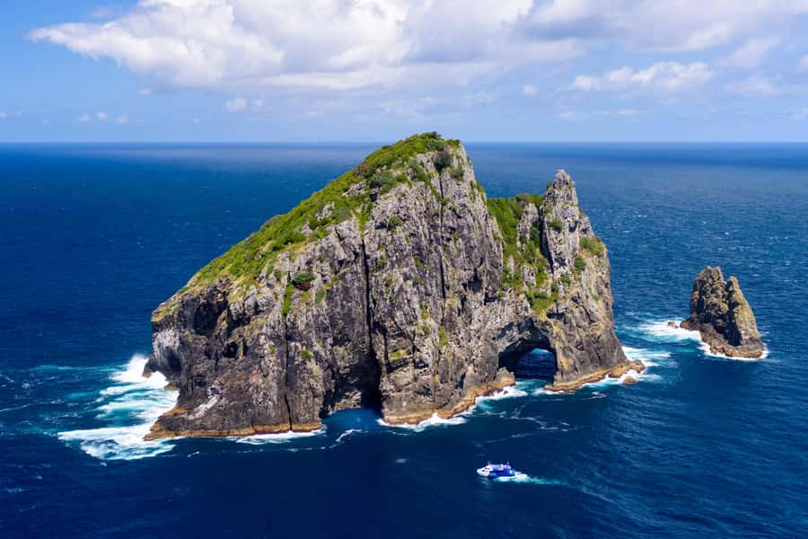 Auckland: Bay of Islands Day Tour with Dolphin Cruise - What the $283 price includes