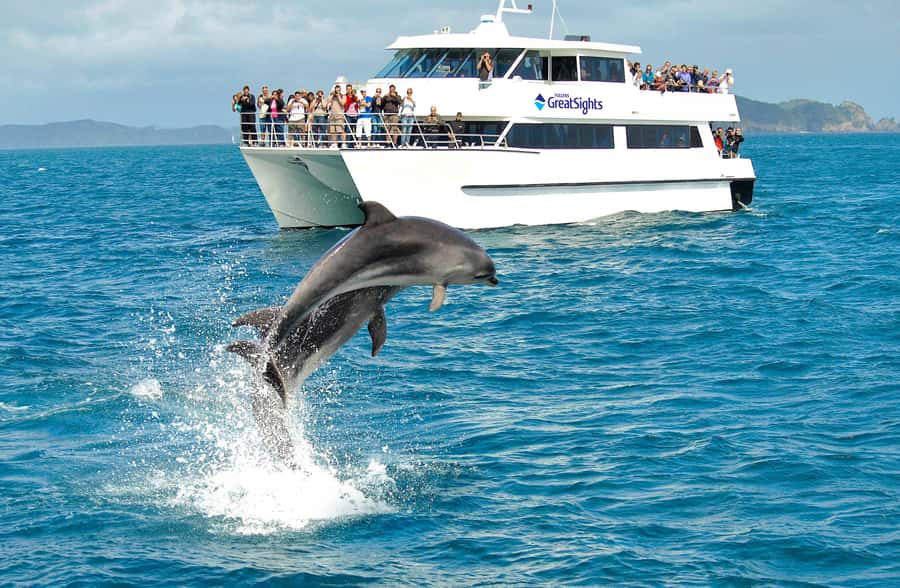 Auckland: Bay of Islands Day Tour with Dolphin Cruise - Who will enjoy this most