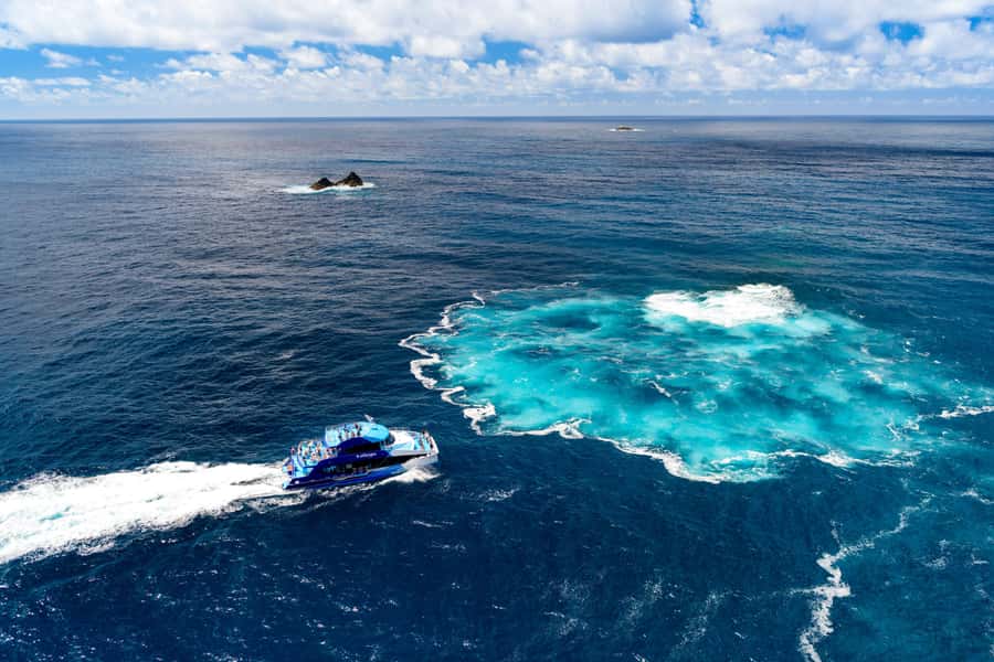 Auckland: Bay of Islands Day Tour with Dolphin Cruise - Simple preparation makes a big difference