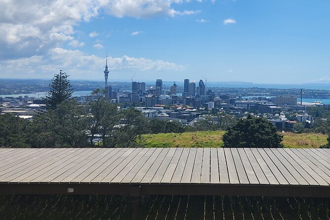 Auckland Best Top 5 Spots Half day Tour - A smart first look at Auckland in half a day