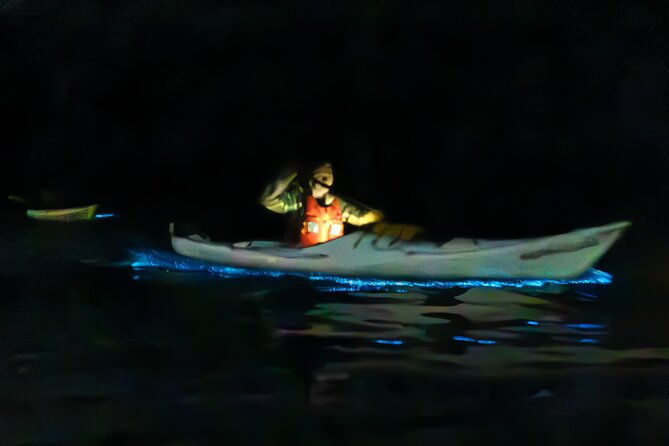 Auckland Bioluminescence Kayak Tour - What the Auckland night paddle is really about