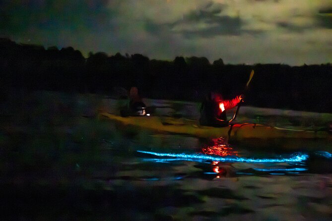 Auckland Bioluminescence Kayak Tour - How much value you get for $68.26