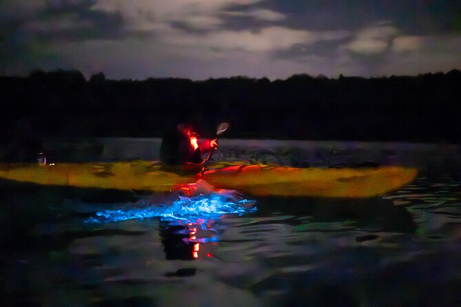 Auckland Bioluminescence Kayak Tour - Photos, darkness, and setting expectations