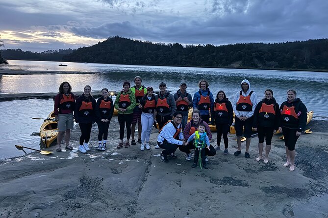 Auckland Bioluminescence Kayak Tour - Should you book the Auckland bioluminescence kayak tour?