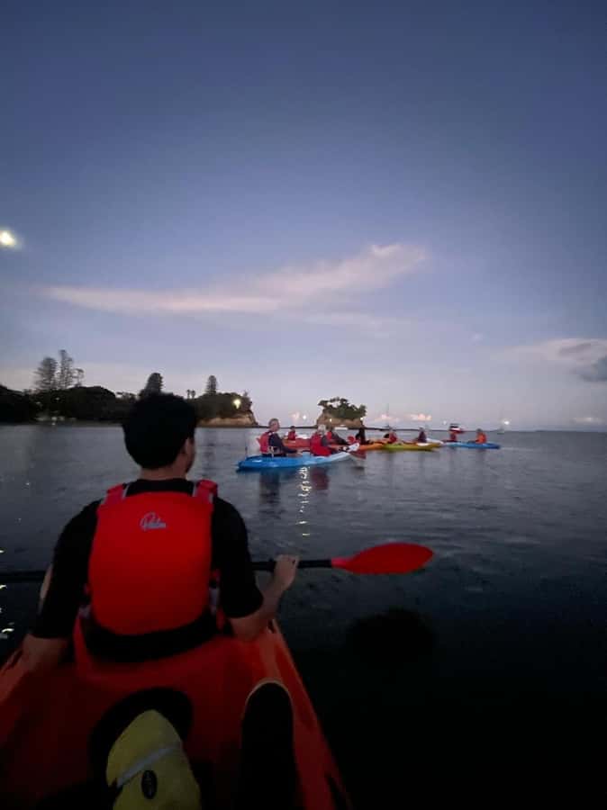 Auckland: Bioluminescence Kayak Tour with Guide - Practical ways to make the evening better