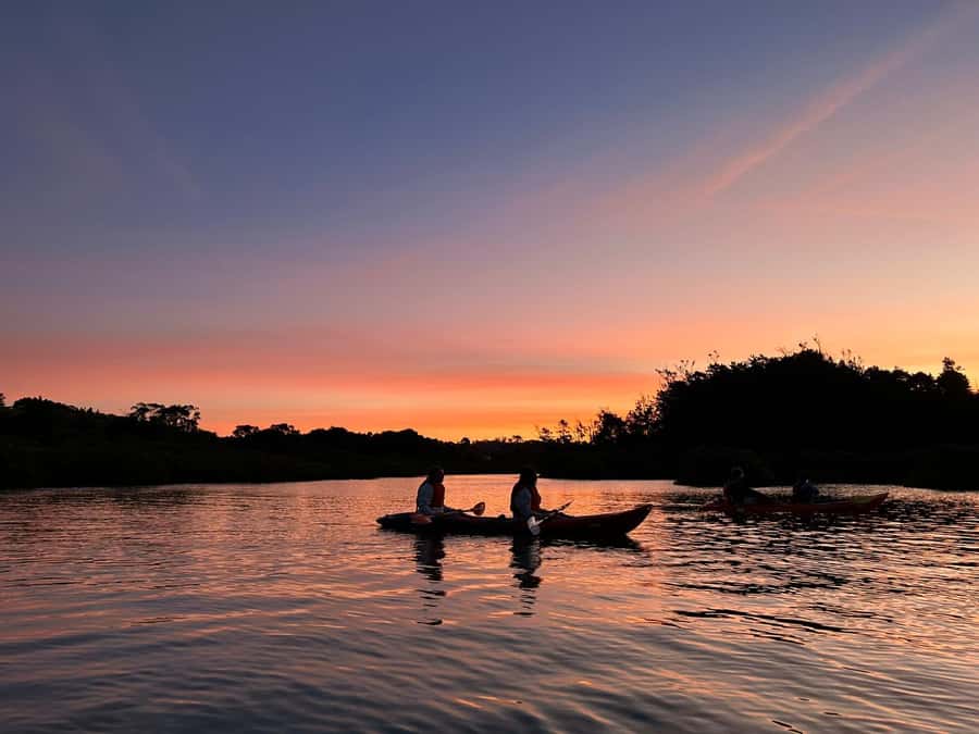 Auckland: Bioluminescence Kayak Tour with Guide - What happens before you launch