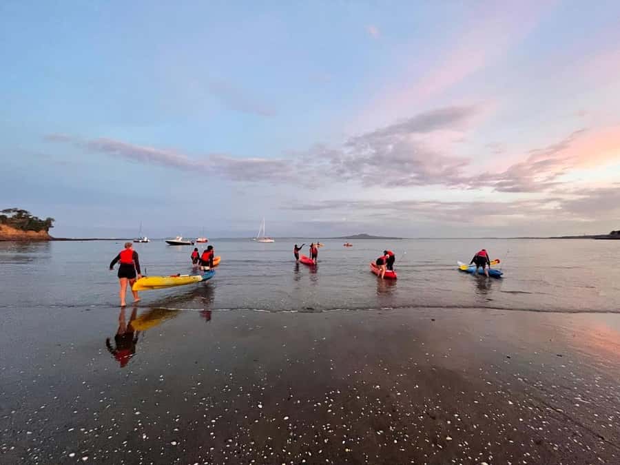Auckland: Bioluminescence Kayak Tour with Guide - The two-hour paddle and guide support