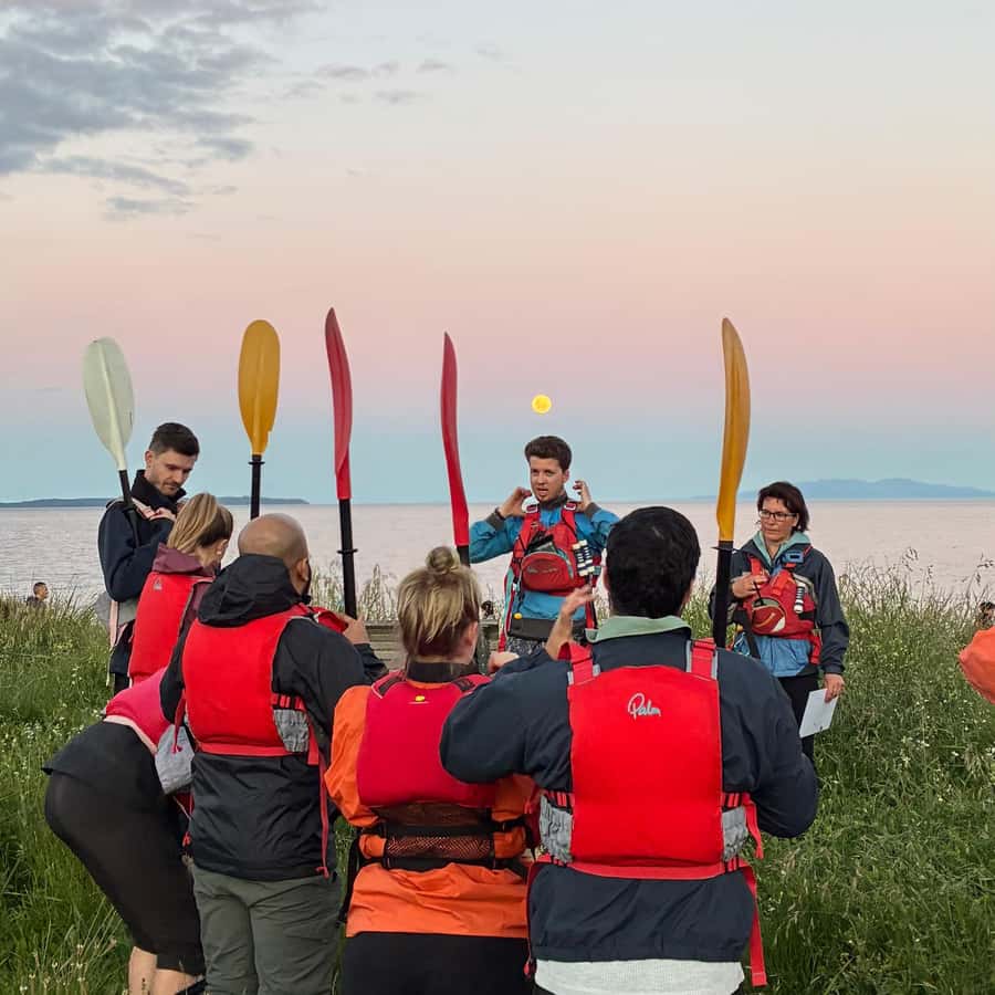 Auckland: Bioluminescence Kayak Tour with Guide - How reliable is the bioluminescence?