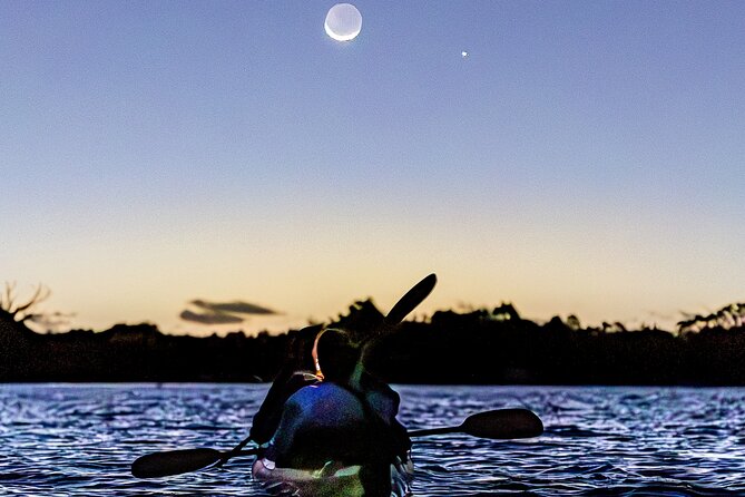 Auckland Bioluminescence Kayak Tour - The short itinerary and what happens on the water