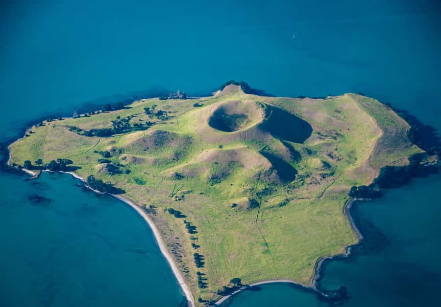 Auckland: Browns Island (Motukorea) Sea Kayak Tour - From St Heliers Beach to the open gulf