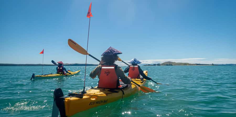 Auckland: Browns Island (Motukorea) Sea Kayak Tour - Motukorea, a volcano you reach by water