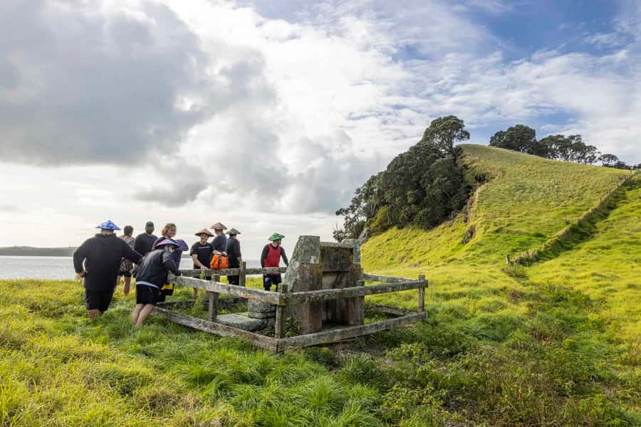 Auckland: Browns Island (Motukorea) Sea Kayak Tour - Bird sanctuary, sea views, and quiet corners