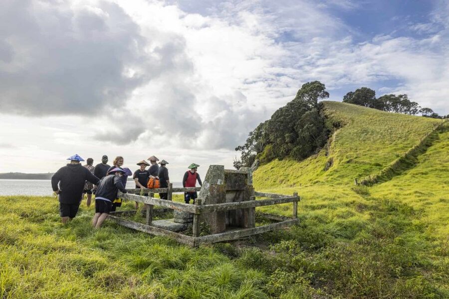 Auckland: Browns Island (Motukorea) Sea Kayak Tour - Guides who make a difference on the water