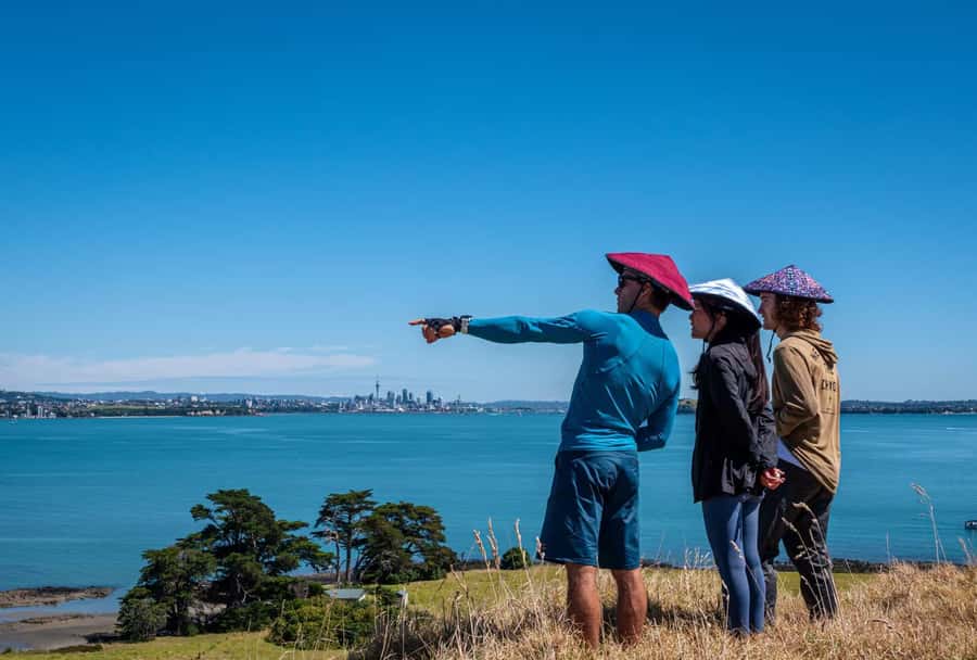 Auckland: Browns Island (Motukorea) Sea Kayak Tour - What the $89 price includes