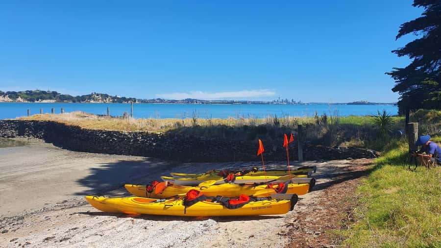 Auckland: Browns Island (Motukorea) Sea Kayak Tour - What to bring for a comfortable paddle