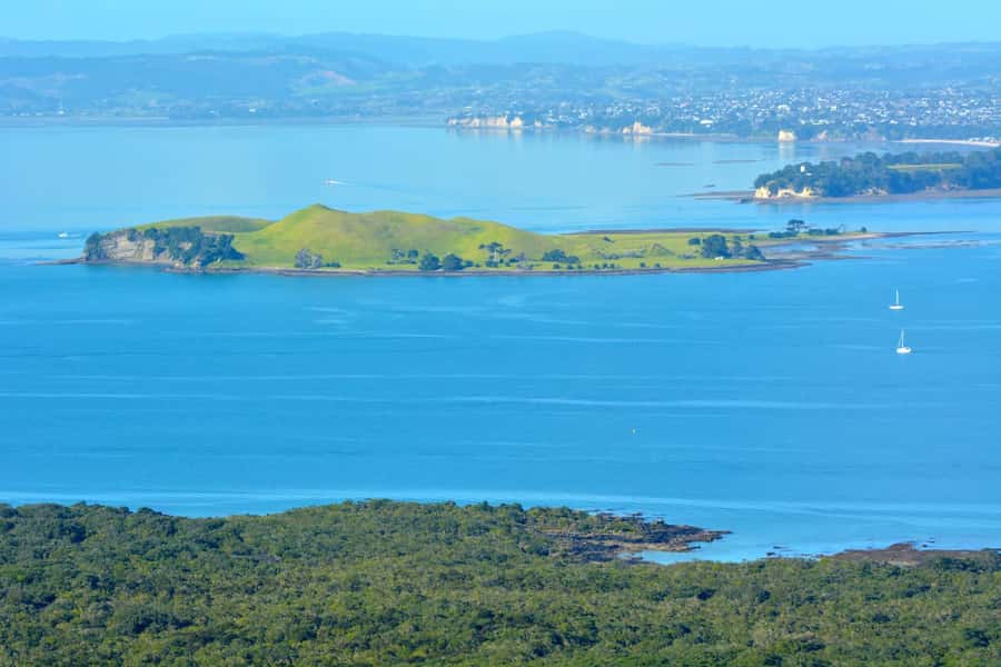 Auckland: Browns Island (Motukorea) Sea Kayak Tour - Who will enjoy this Browns Island tour?
