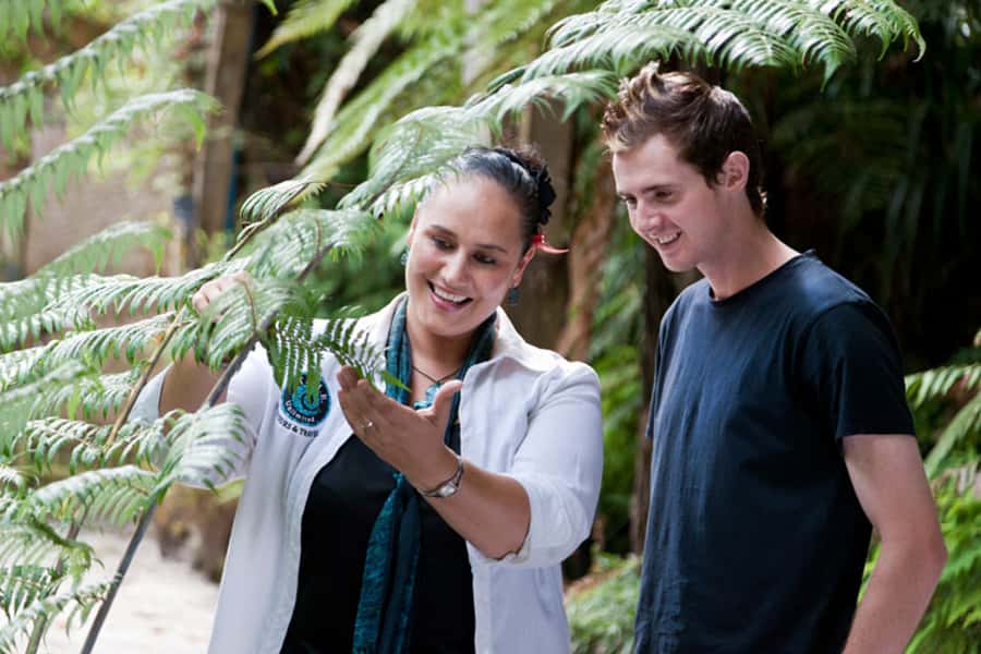 Auckland City and West Coast Luxury Tour - What the $236 price really buys you