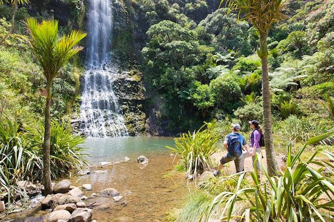 Auckland City and West Coast Luxury Tour - Black sand beaches and the wild West Coast