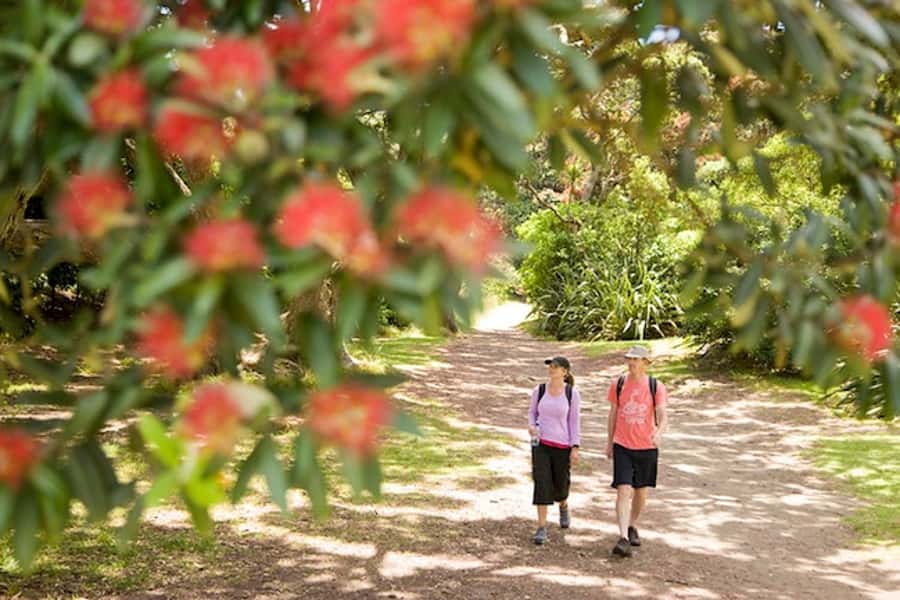 Auckland City and West Coast Luxury Tour - Auckland Domain and the old streets of Parnell