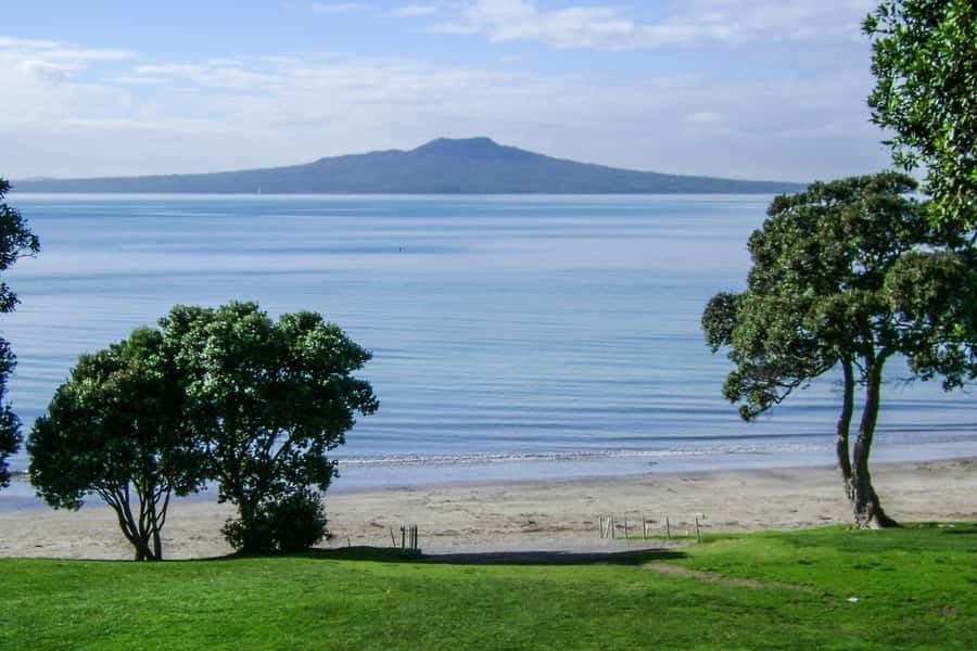 Auckland City, Beaches & Rainforest Premium Small Group Tour - Why this city-to-coast plan works