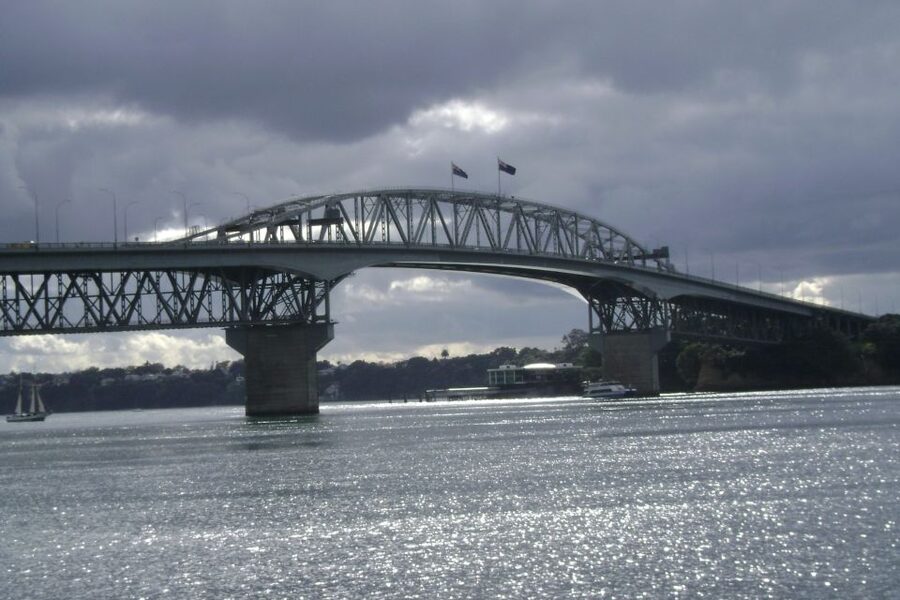 Auckland City, Beaches & Rainforest Premium Small Group Tour - Walking among kauri trees and giant ferns
