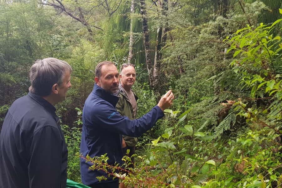 Auckland City, Beaches & Rainforest Premium Small Group Tour - Piha Beach and Auckland’s wild west