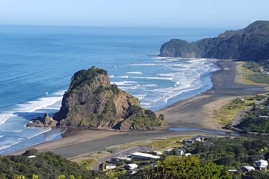 Auckland City, Beaches & Rainforest Premium Small Group Tour - Who should book this day