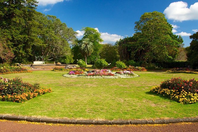 Auckland City Discovery Experience - Private Tour From Auckland - Mount Eden and Auckland’s volcanic summit