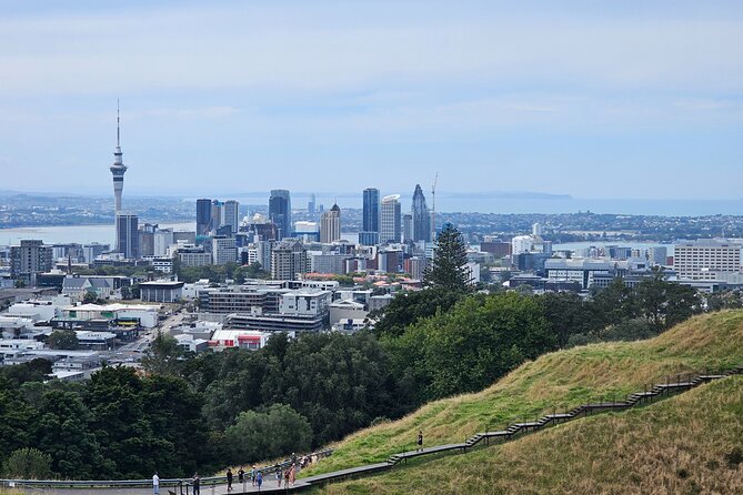 Auckland City Halfday Guide Tour - Key points to know before booking