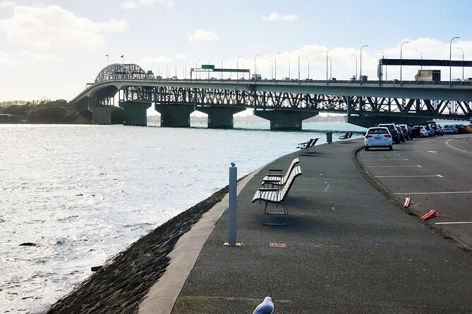 Auckland City Halfday Guide Tour - Mission Bay for beach time and a slower pause
