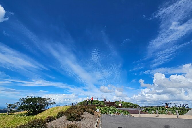 Auckland City Halfday Guide Tour - Is $111.70 per person good value?