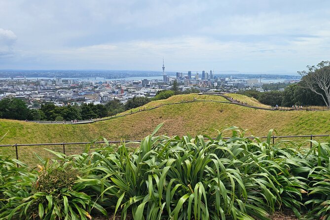 Auckland City Halfday Private Tour - Is the $130.32 price good value?