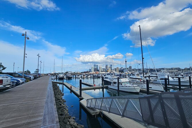 Auckland City Halfday Tour - The private vehicle and guide make the difference