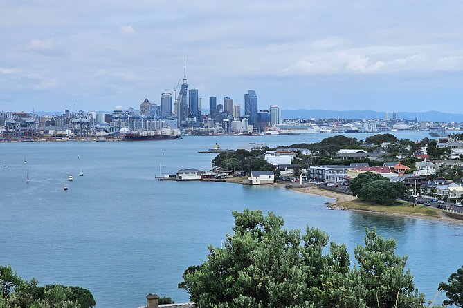 Auckland City Halfday Tour - Timing, fitness, and what to expect at each stop