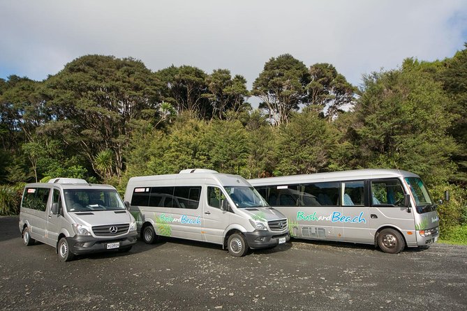 Auckland City Highlights, Afternoon Piha Beach & Rainforest Tour - Guides, transport, and group size
