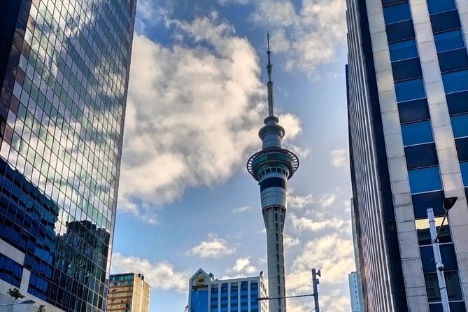 Auckland City Highlights Full Day Tour - The Domain Wintergardens slow the pace