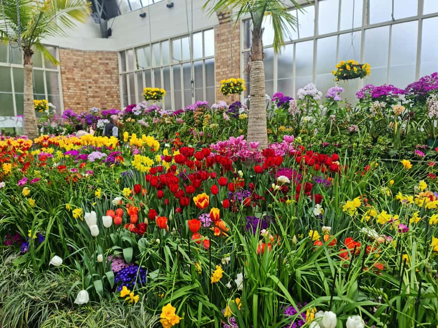 Auckland City Highlights Half Day Tour - The Domain Wintergardens and a change of pace