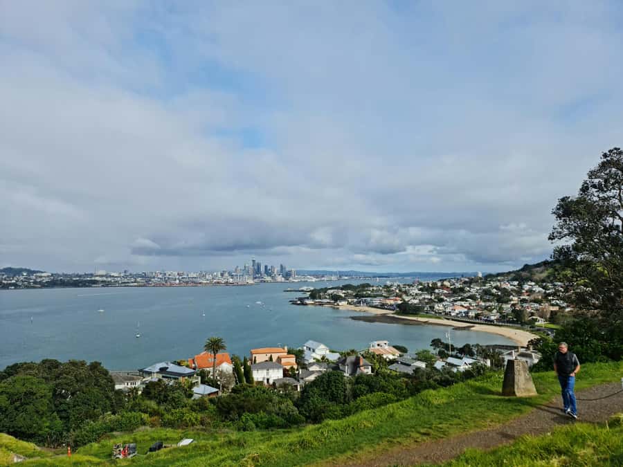 Auckland City Highlights Half Day Tour - Is $95 good value?