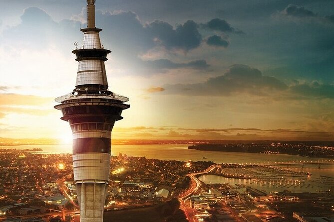 Auckland City Highlights Private Tour - Key points to know before booking