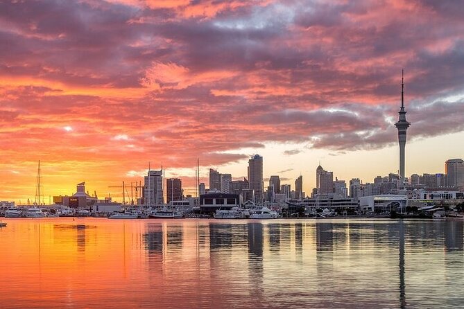 Auckland City Highlights Private Tour - Mission Bay and Auckland’s coastal side
