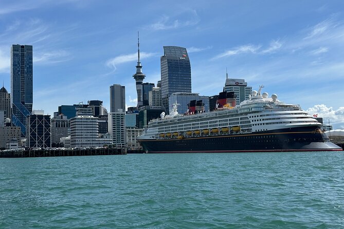 Auckland City Highlights Tour by Car or Van - The Sky Tower and Auckland’s modern center