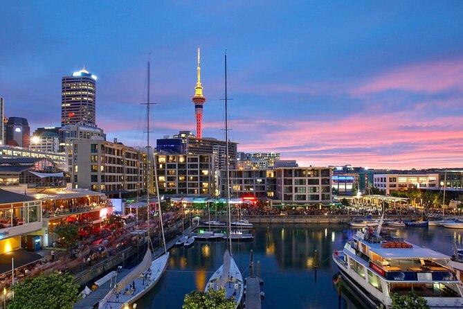 Auckland City Hotel to Cruise Ship Transfer by SUV - Luggage help and comfort for limited mobility