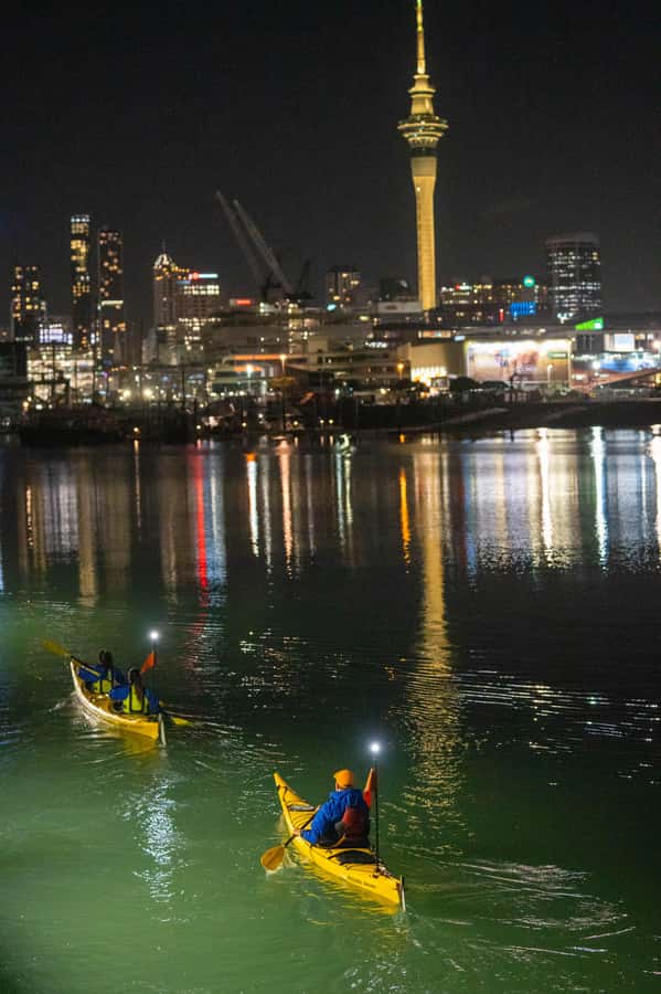 Auckland: City Lights Night Kayak Tour - Key points to know before you book